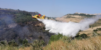 LA SICILIA BRUCIA ANCORA: TUTTA COLPA DEL CALDO? incendi cause EMERGENZA STATO