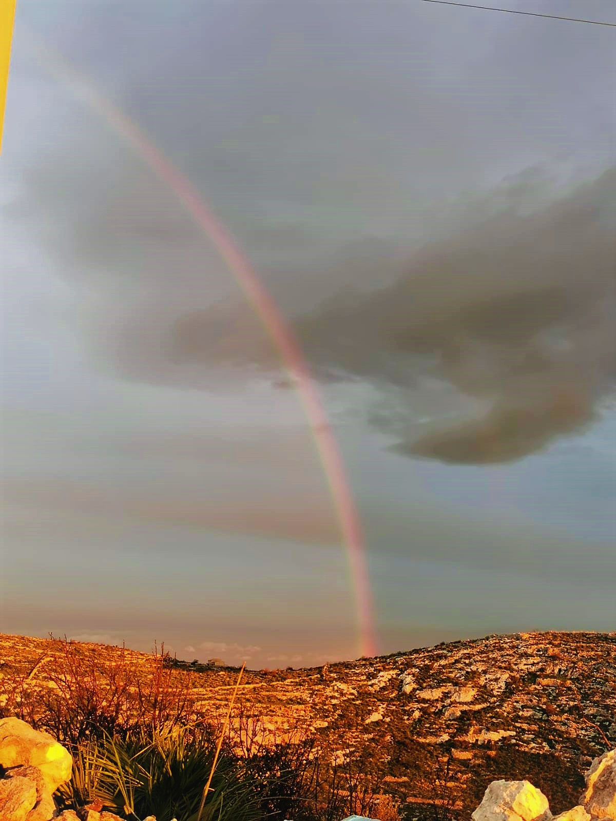 Noto cattedrale natura