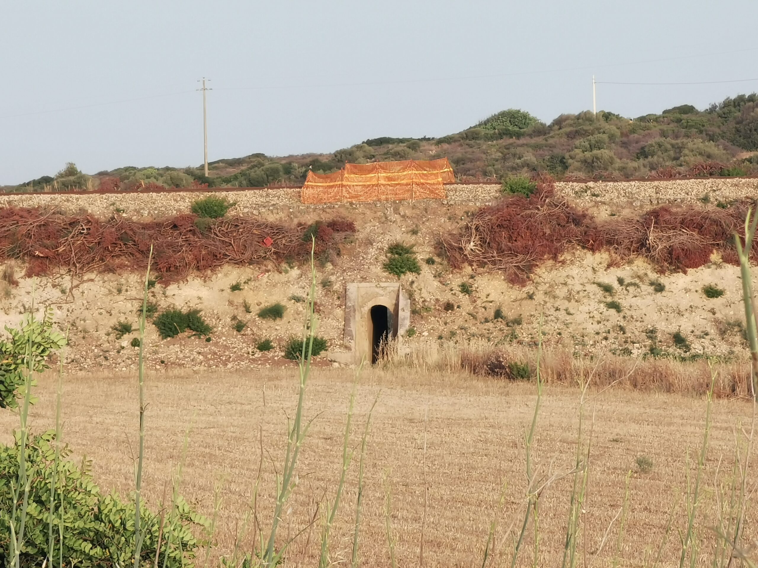 ELORO NOTO