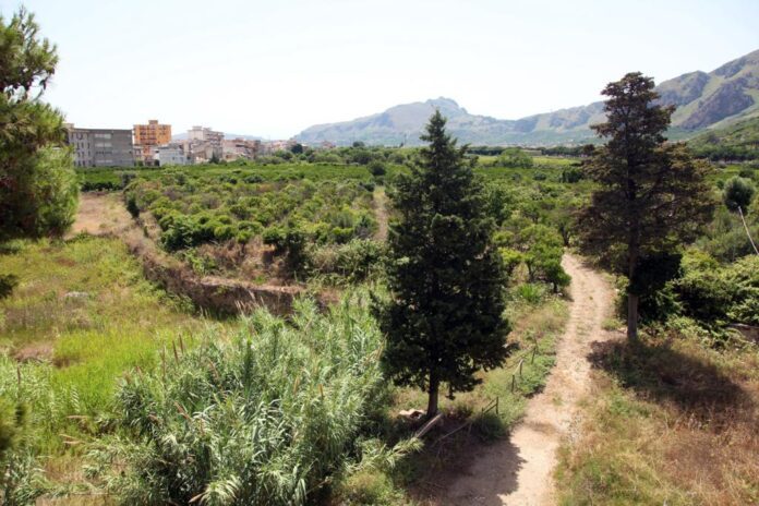 Parco Maredolce Palermo