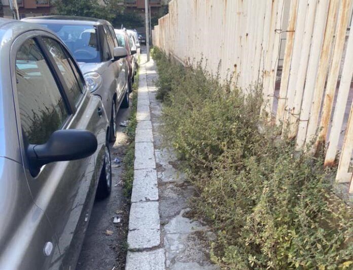 ERBACCE PALERMO